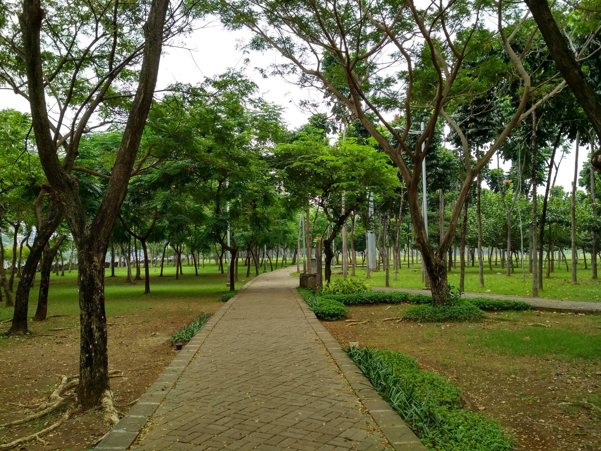 PIOT Park